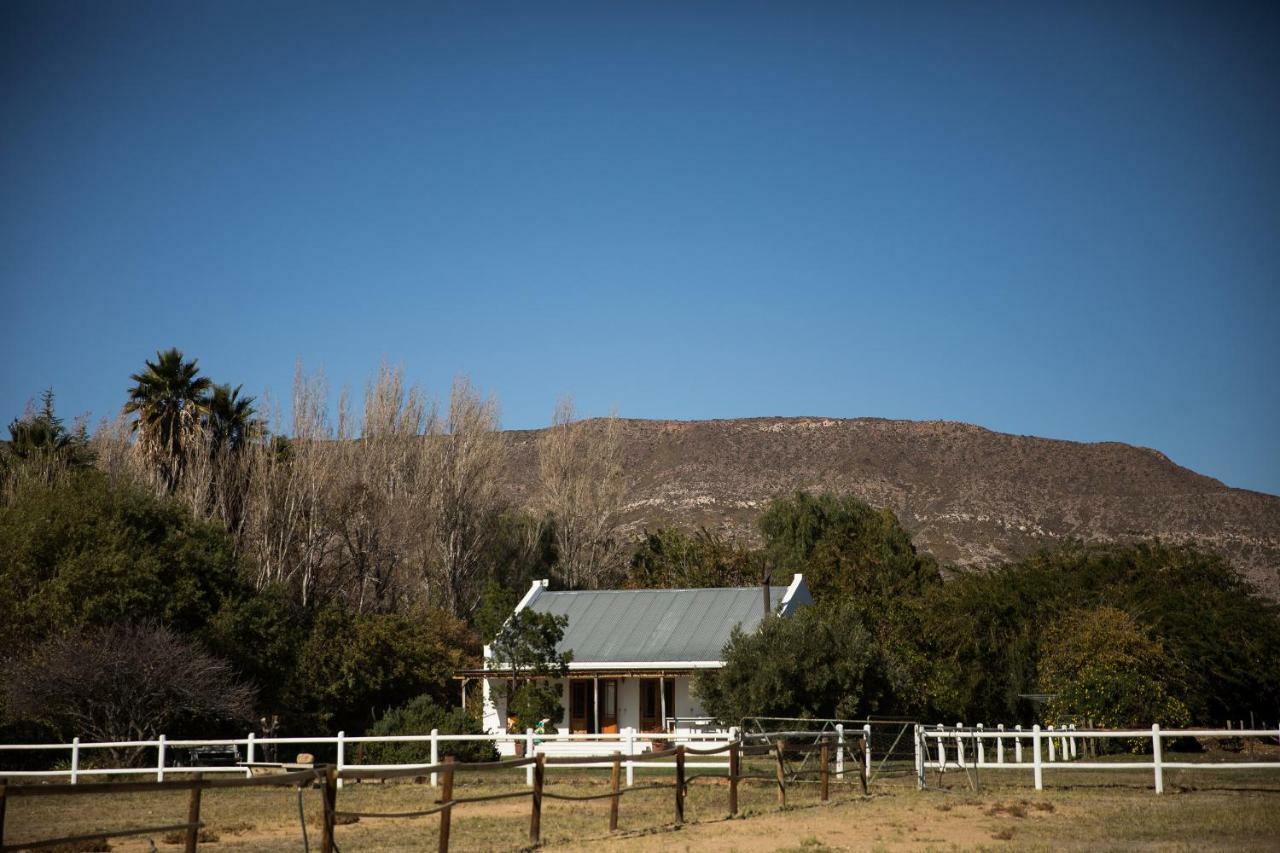 Acacia Cottage 프린스앨버트 외부 사진